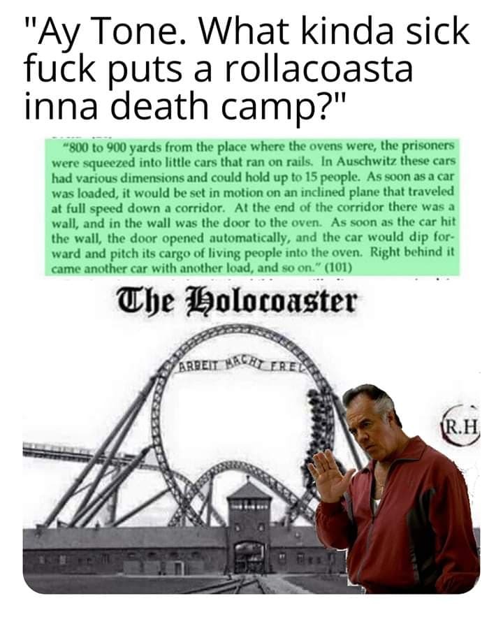 dongs in a rollercoaster - meme
