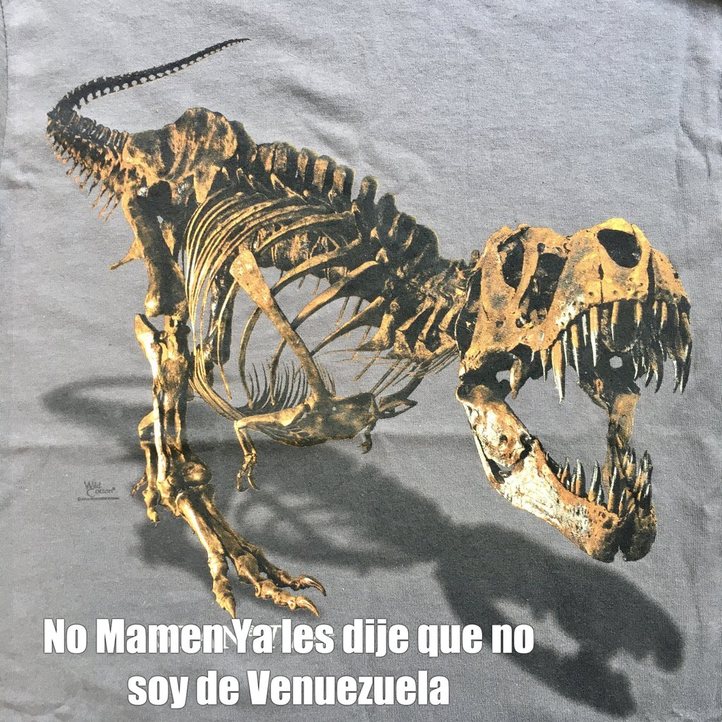 Dinosaurio Venezolano - meme