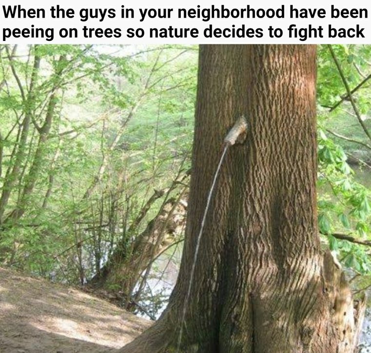 Don't pee on trees (unless you really have to go and there's no place else) - meme