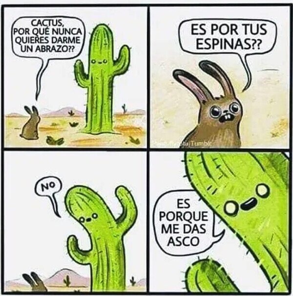 Cactus es un tipo duro - meme
