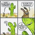 Cactus es un tipo duro