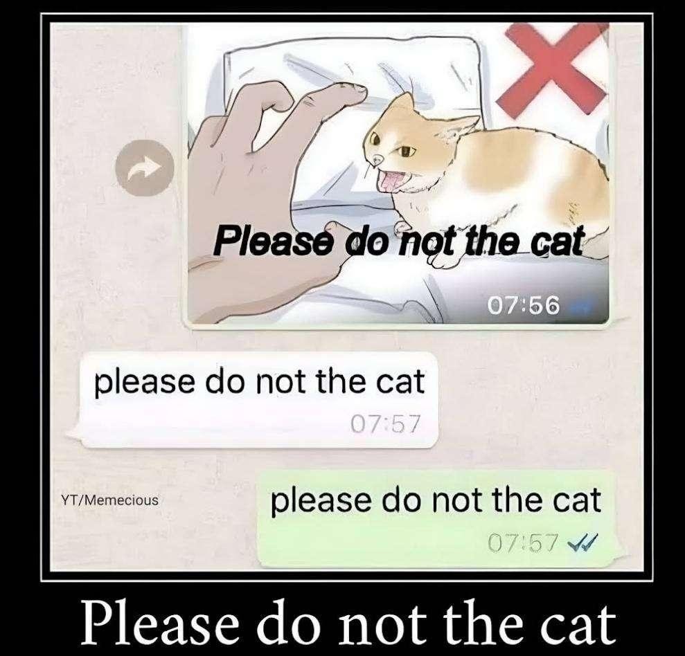 Please Do Not The Cat Meme By Elchupapingo Memedroid 4321