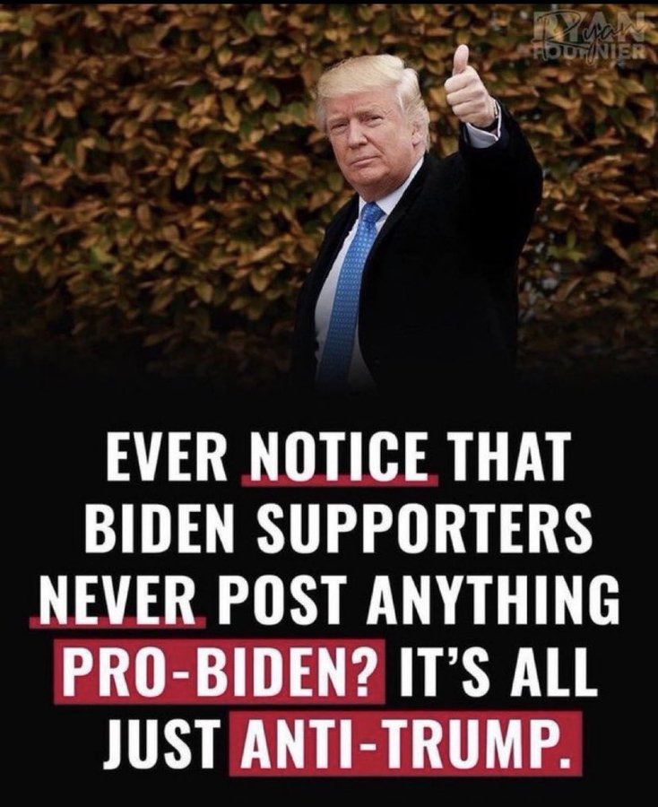 Who is a bigger loser, Biden or people who voted for him? - meme
