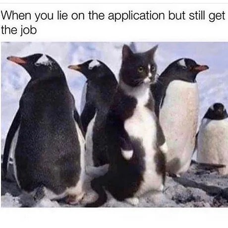 Title - meme