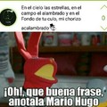 Mario hugo