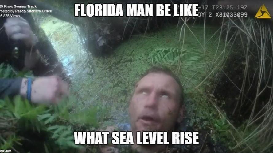 sea level - meme