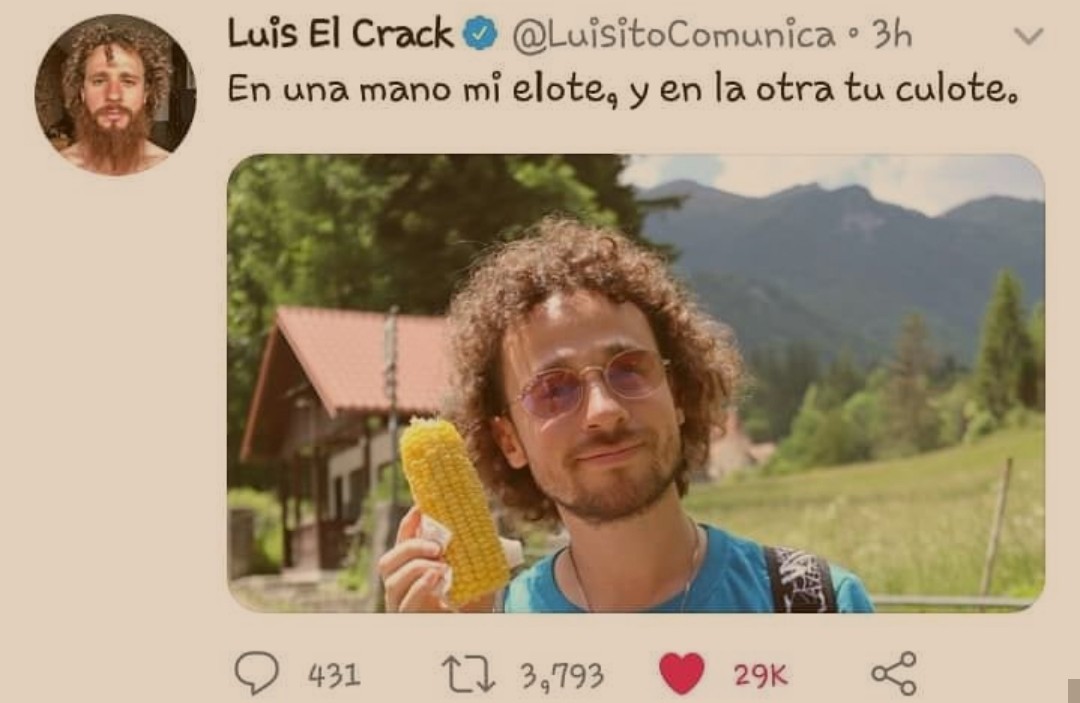 Luis el crack - meme