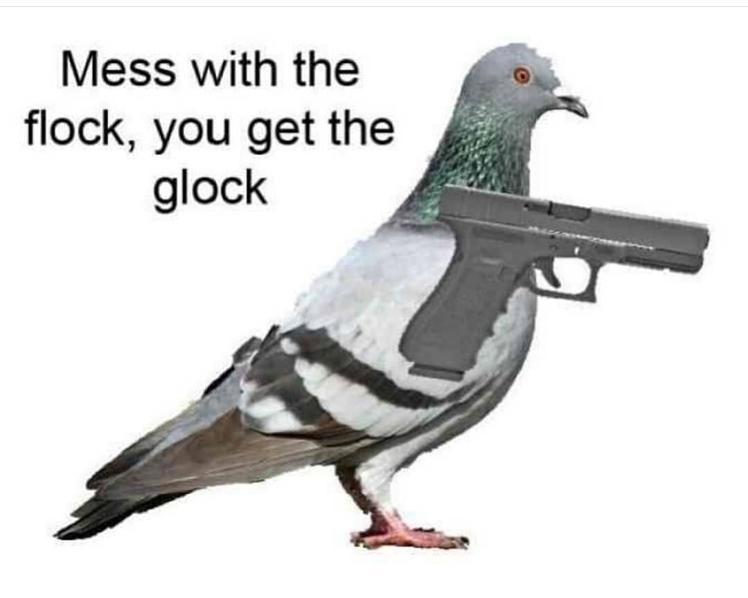 Mess with the cock,  u get the cock - meme