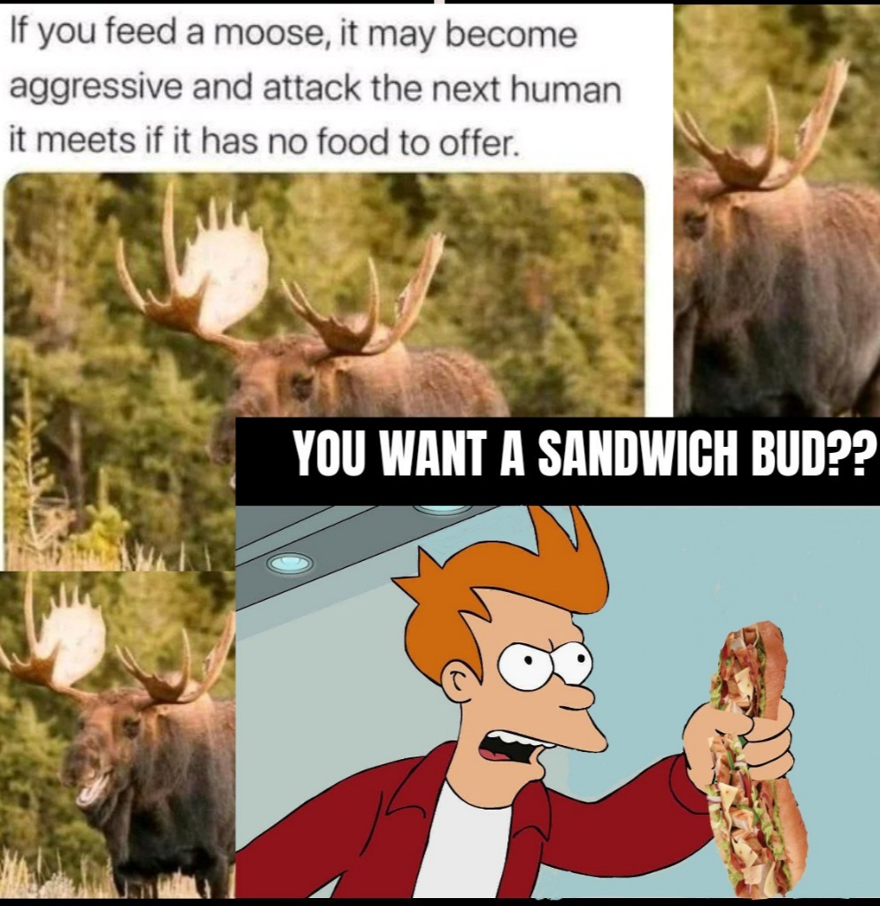 Le Moose is thy Friend - meme