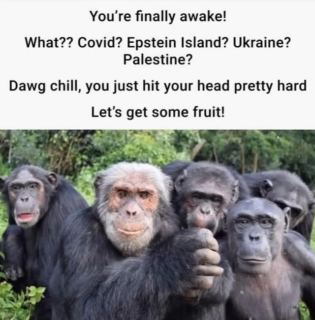 Let's get some fruit - meme