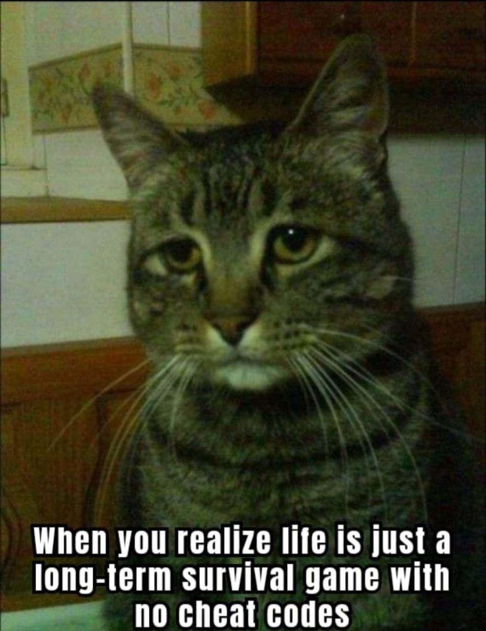 Life is just Minecraft on hardcore mode - meme