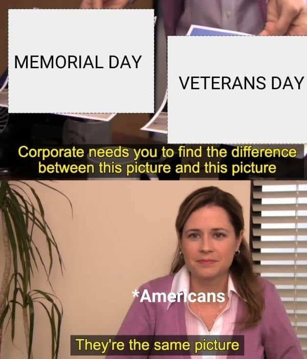 americans be like memorial day and veterans day are twins - meme