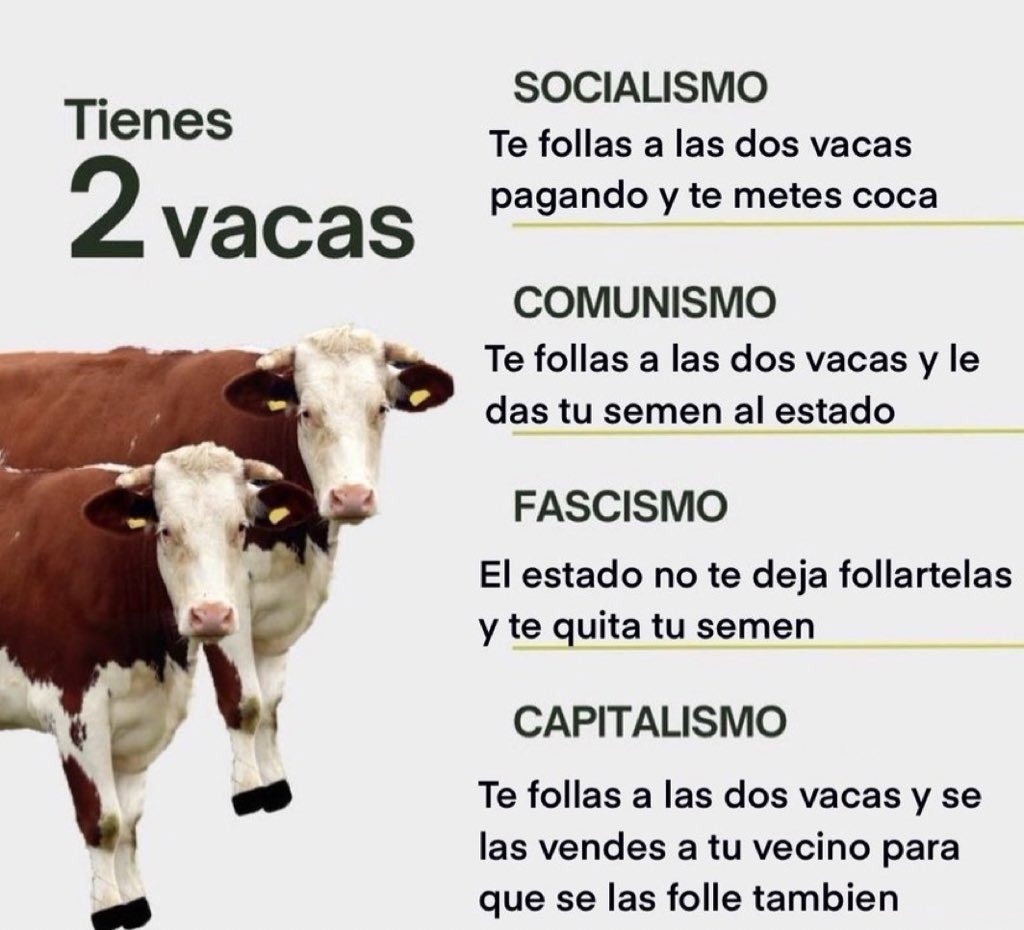 2 vacas - meme