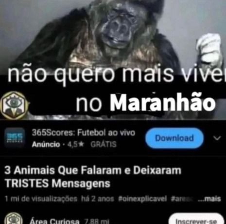 mamaco triste agora - meme