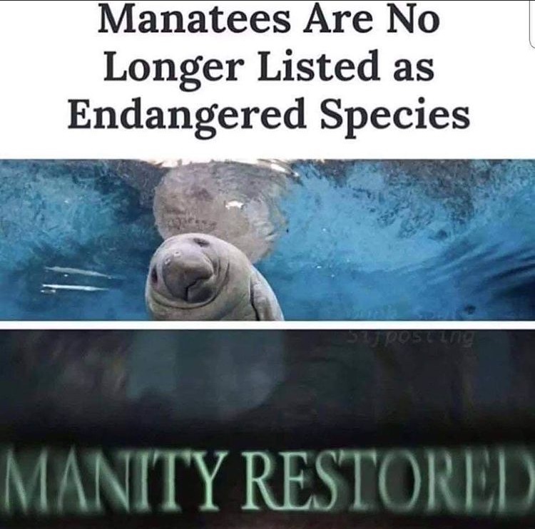 manity restored - meme