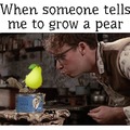 Grow a Pear!