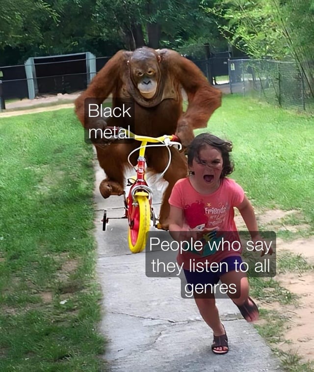 Black metal meme