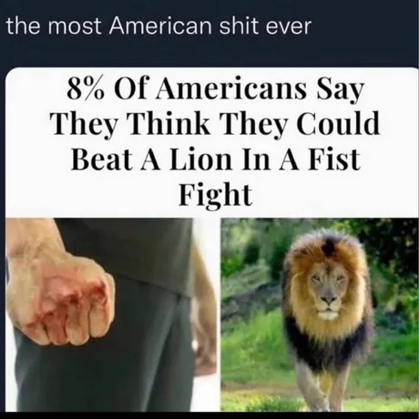 American vs Lion - meme