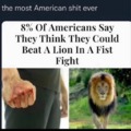 American vs Lion