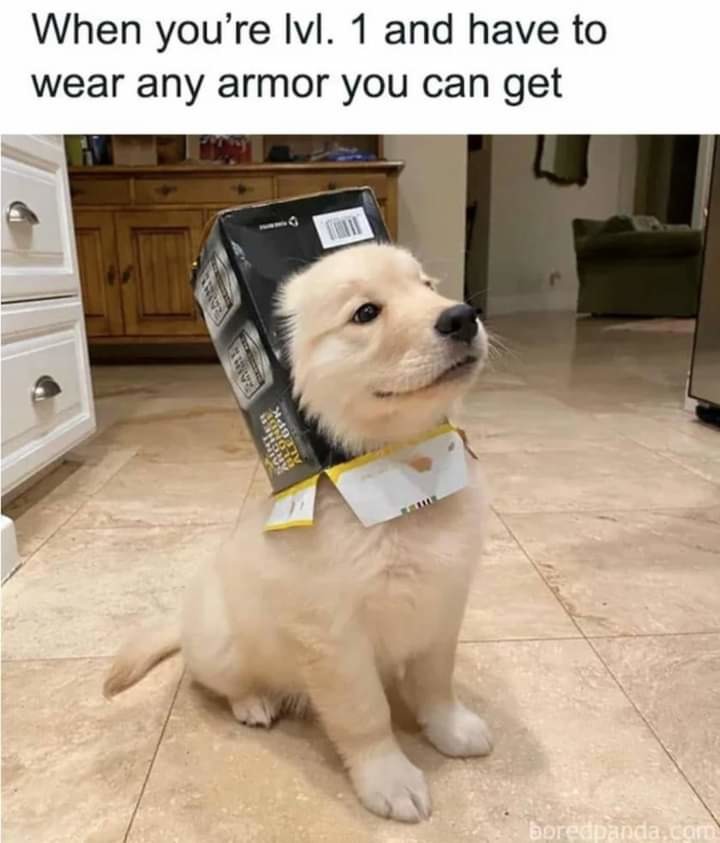 Doggo - meme