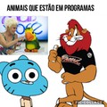 Proerd é o programa