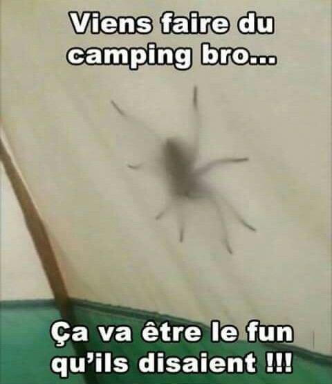 Les joie du camping - meme
