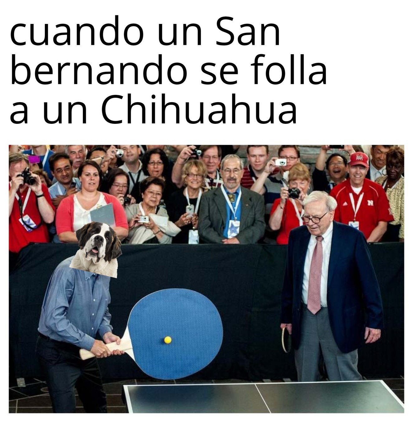 Por lo grande no creo  que pueda xd - meme