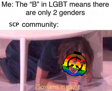 Lets Go Beat The Queers - meme