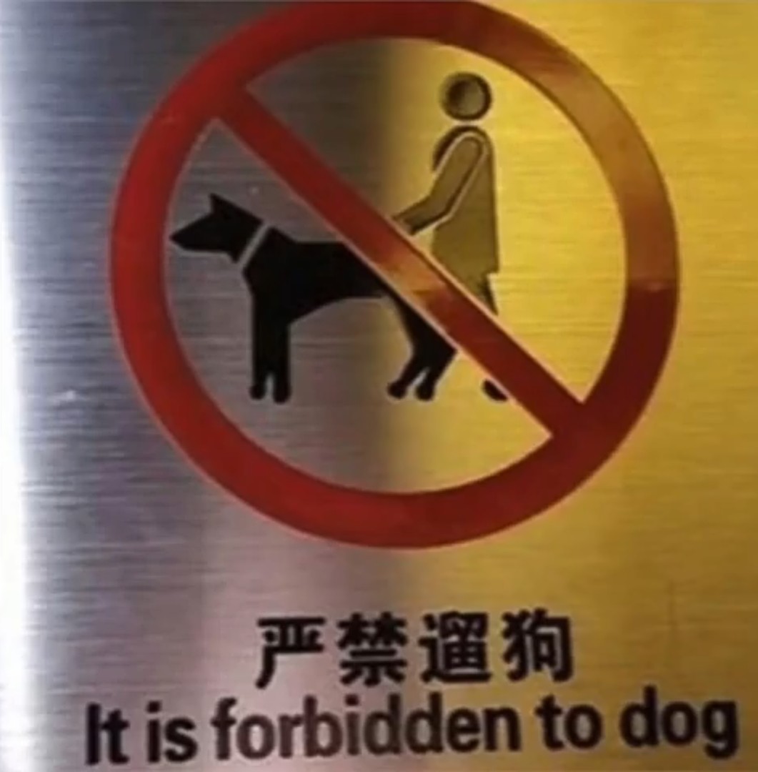 Forbidden to Dog - meme