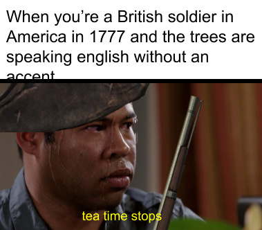 Tea time stops - meme