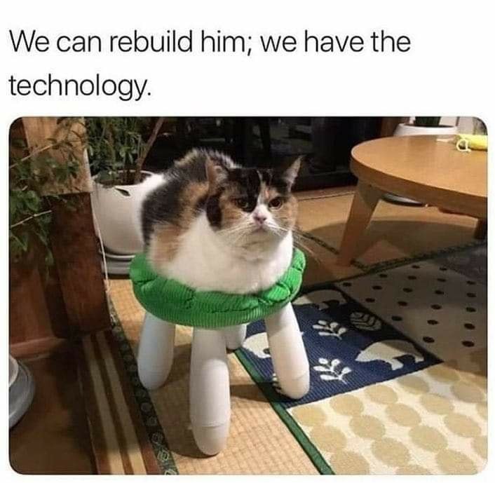 TheTechnology - meme