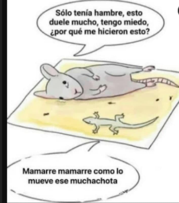 no es mio pero da risa - meme
