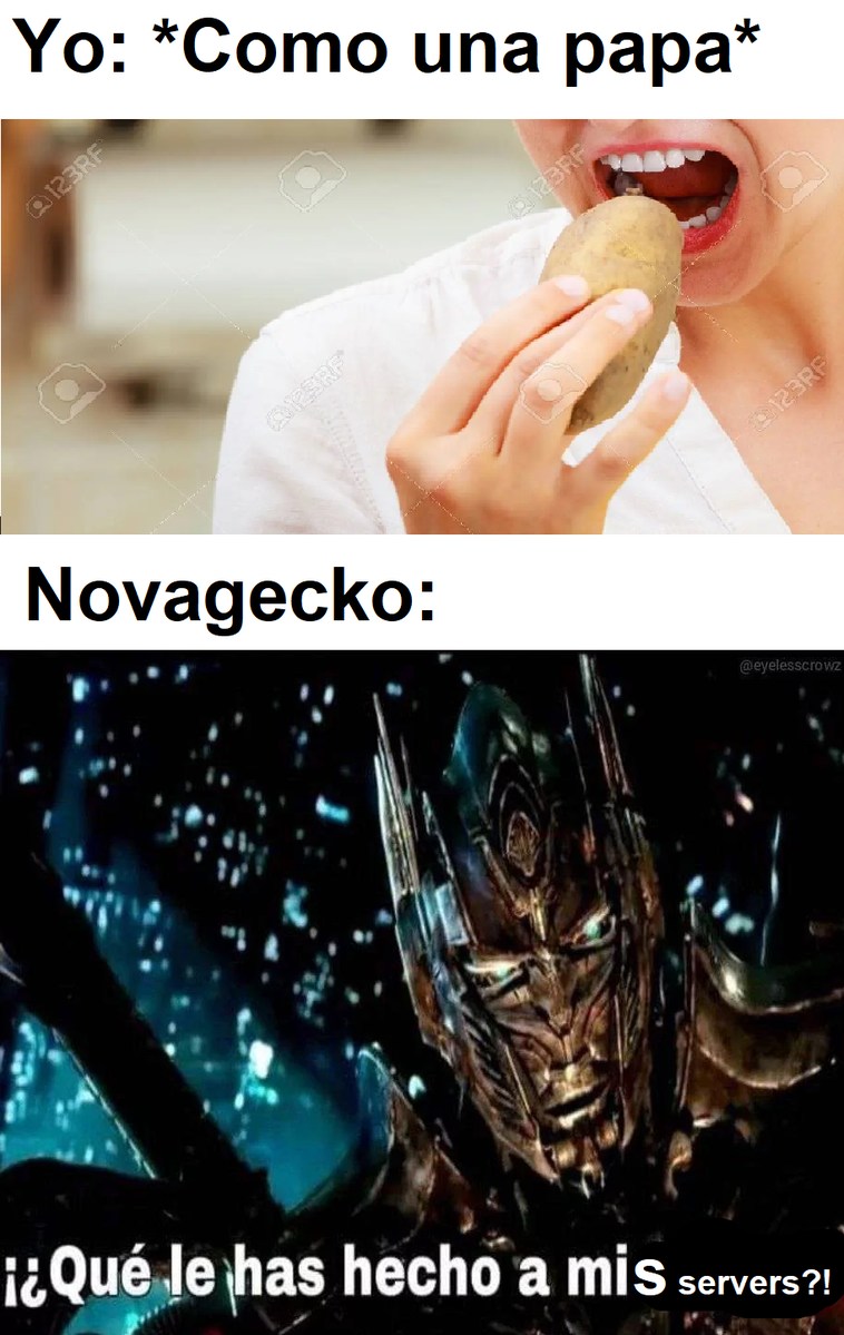 Servers de novagecko - meme