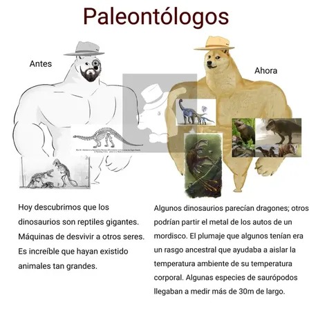 Paleontólogos siguen siendo chad - meme