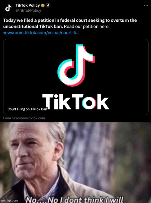 TikTok sues United States - meme
