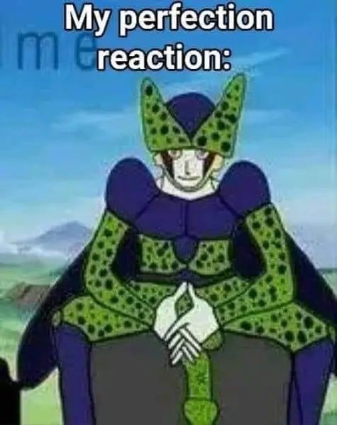 my perfection reaction: - meme
