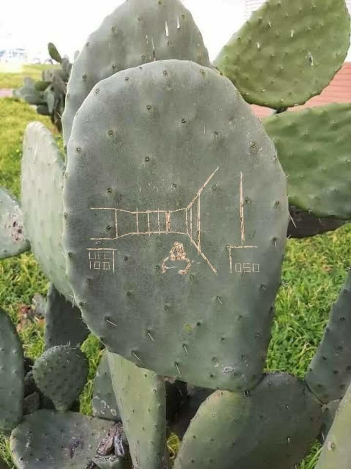 Nopal Doom - meme