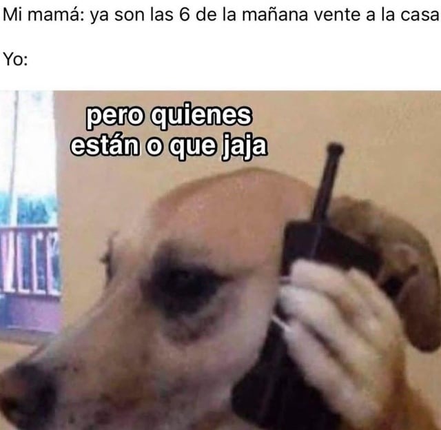 proponga plan madre - meme