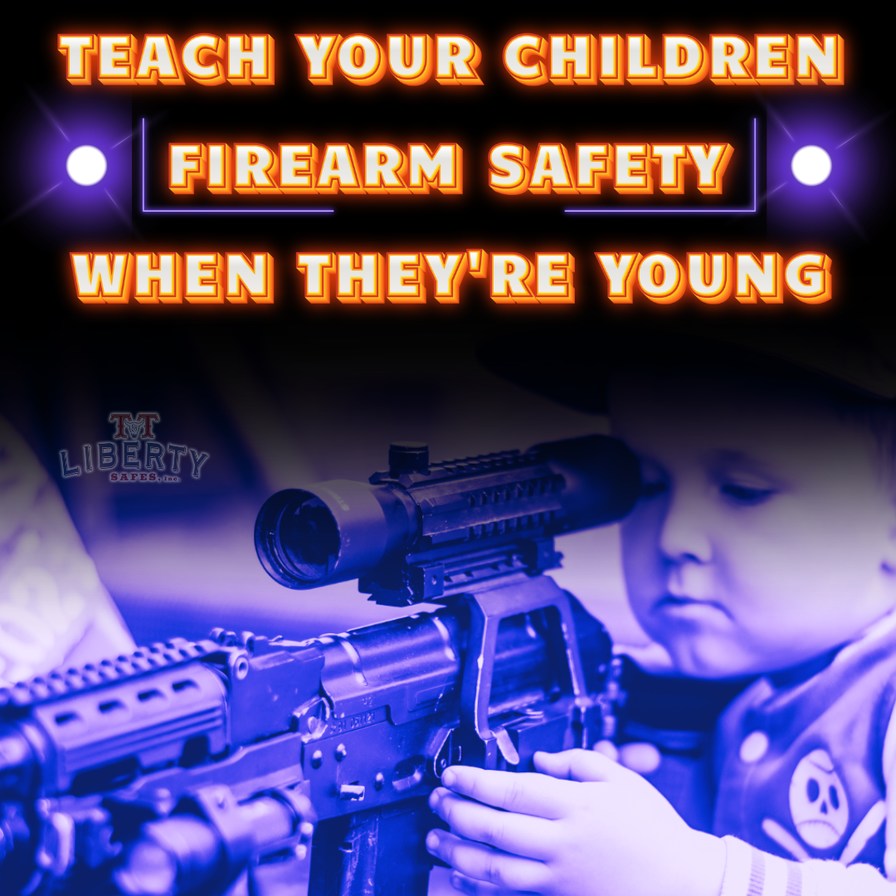 2nd Amendment - meme