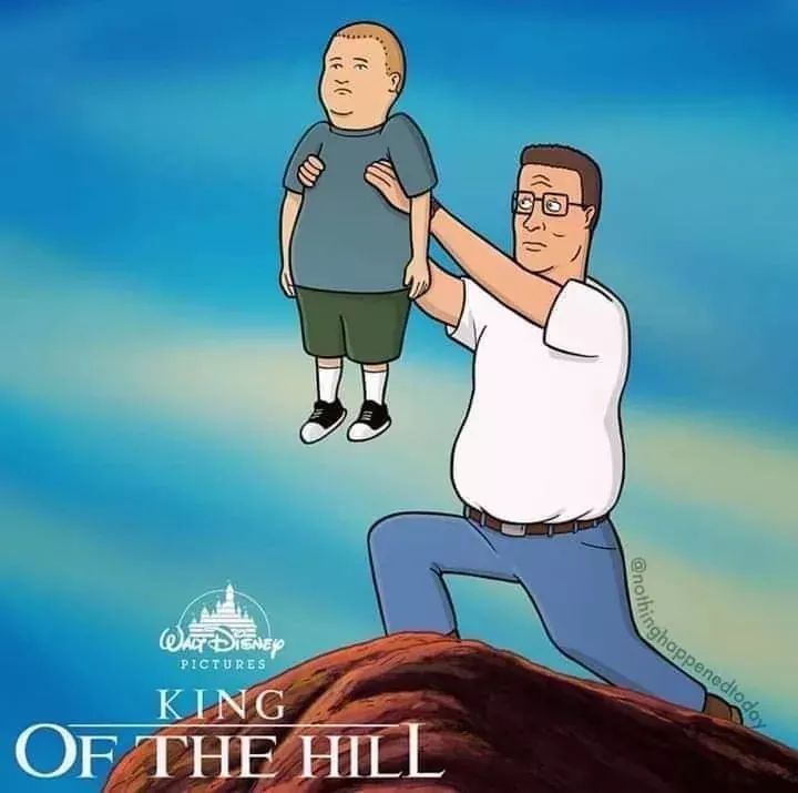 Everything the light touches is propane. - meme