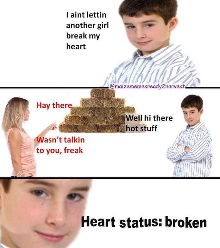broken hearted. bitch just farted - meme