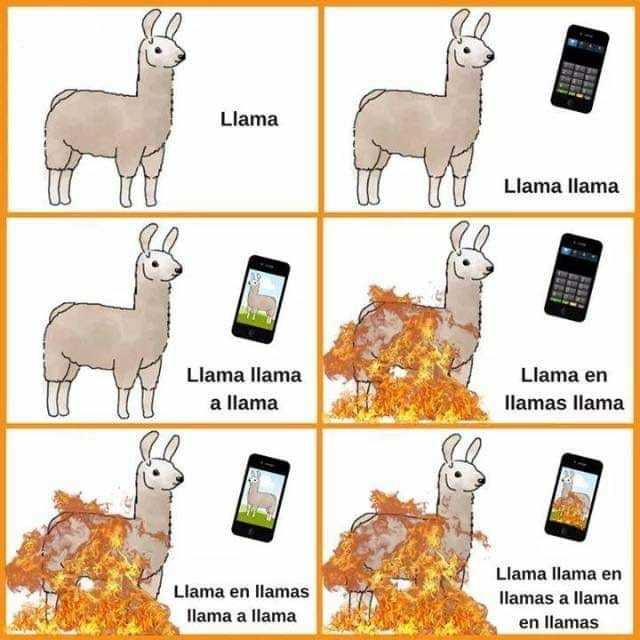 llama,llamas,llamar,4parguela,meme,memes,gifs,funny,pictures,pics,gif,comic...