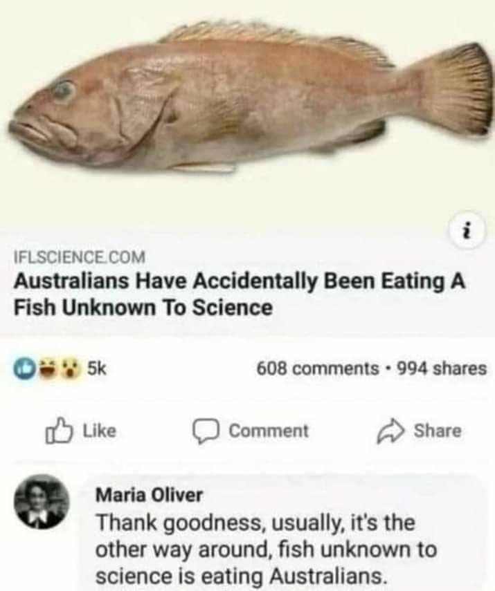 funny australian fish meme