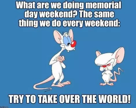 What are we doing memorial day weekend? - meme