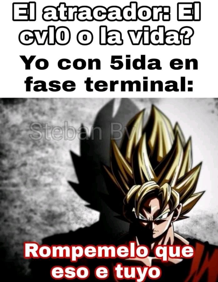 Meme roto