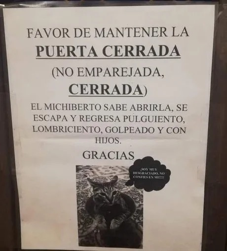 Dejen al gato vivir - meme