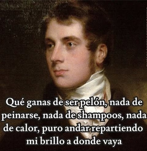 Qué ganas de ser pelén; nada de peinarse, nada de champús, puro repartir brillo donde vaya - meme