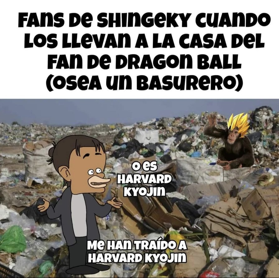 When llevan al fan de one piece al basurero - meme