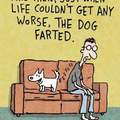 Dog farts are the best!