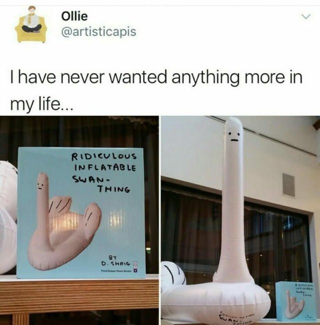 Ridiculous inflatable swan thing - meme